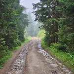 кичера