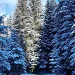 بيت خشبي кичера Krivopol'ye