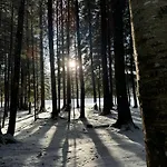 кичера * Krivopol'ye
