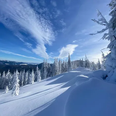 Domek letniskowy кичера *