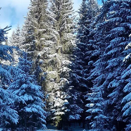 Domek letniskowy кичера Krivopol'ye