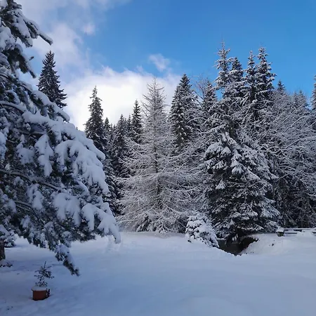 кичера Krivopol'ye