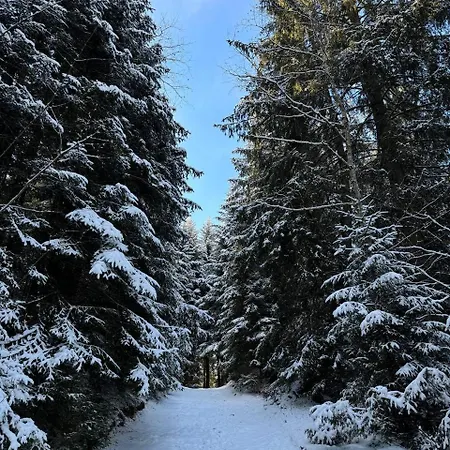 кичера Krivopol'ye