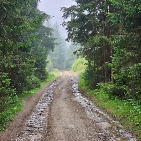 кичера