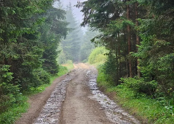 кичера