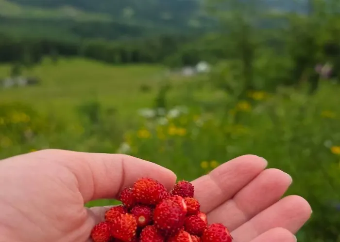 кичера Lodge *